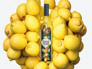 Il Gallo Giallo Limoncello